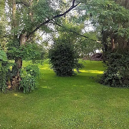 Bed & Breakfast D'hotes Les Ifs Montsûrs