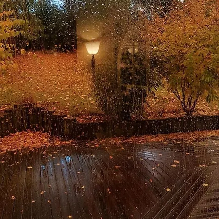 D'hotes Les Ifs Montsurs