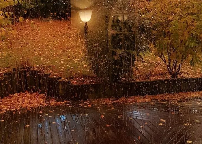 D'hotes Les Ifs Montsûrs